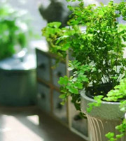 泸州专属于你的开运指南，助你鸿运当头福满身！